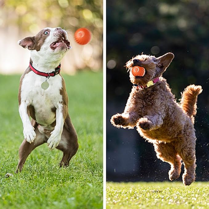 Hot Sale 49% OFF🎁Smart Pet Bounce Interactive Ball🐶