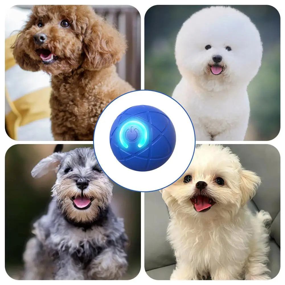 Hot Sale 49% OFF🎁Smart Pet Bounce Interactive Ball🐶