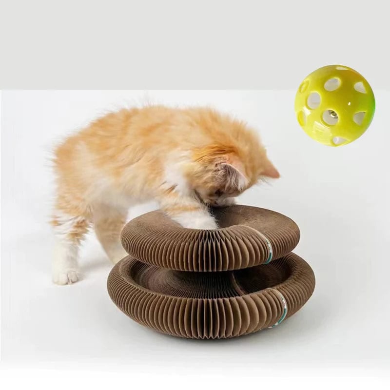 🐱Big Sale 50% 0FF🎁Magic Organ Cat Scratching Board - With Toy Bell Ball