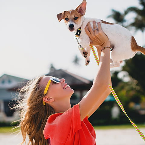 Pet tools