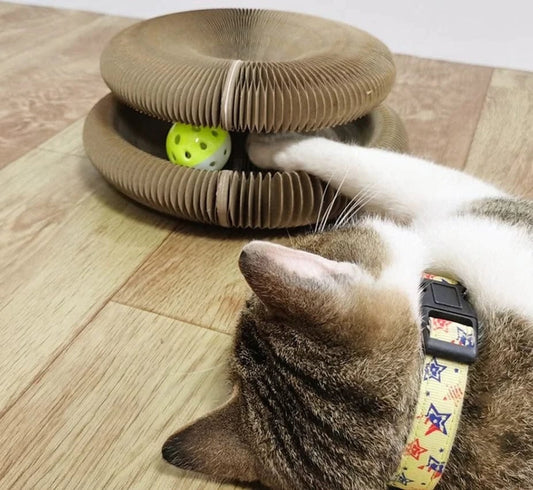 🐱Big Sale 50% 0FF🎁Magic Organ Cat Scratching Board - With Toy Bell Ball